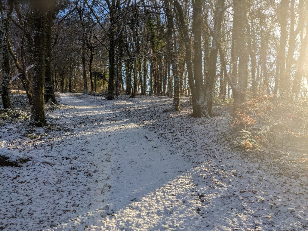 Forest trail with snow on the ground and sunshining in from right hand side of the image. 